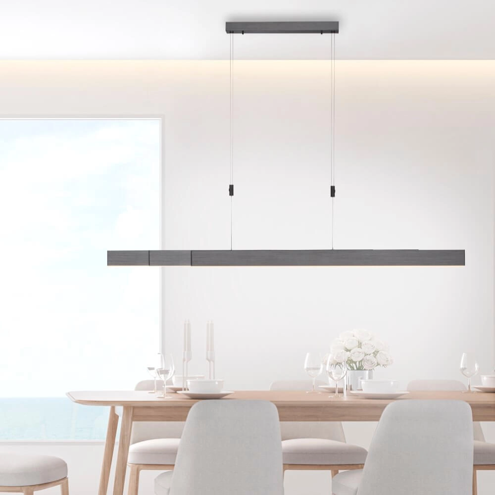 LED hanging lamp Pure-Moto brushed anthracite Paul Neuhaus 4012248363751