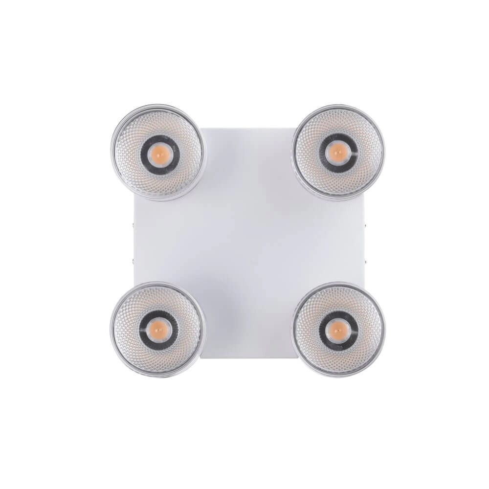 White ceiling lamp Pure Nola 4-light Paul Neuhaus 4012248374559