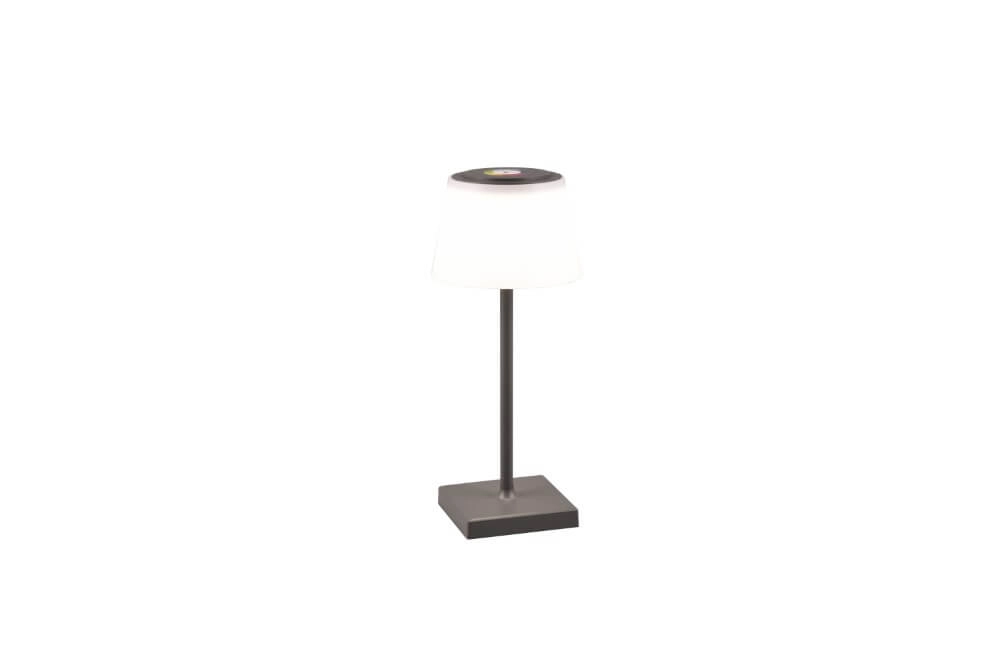 Rechargeable table lamp Sanchez anthracite Trio 4017807570595