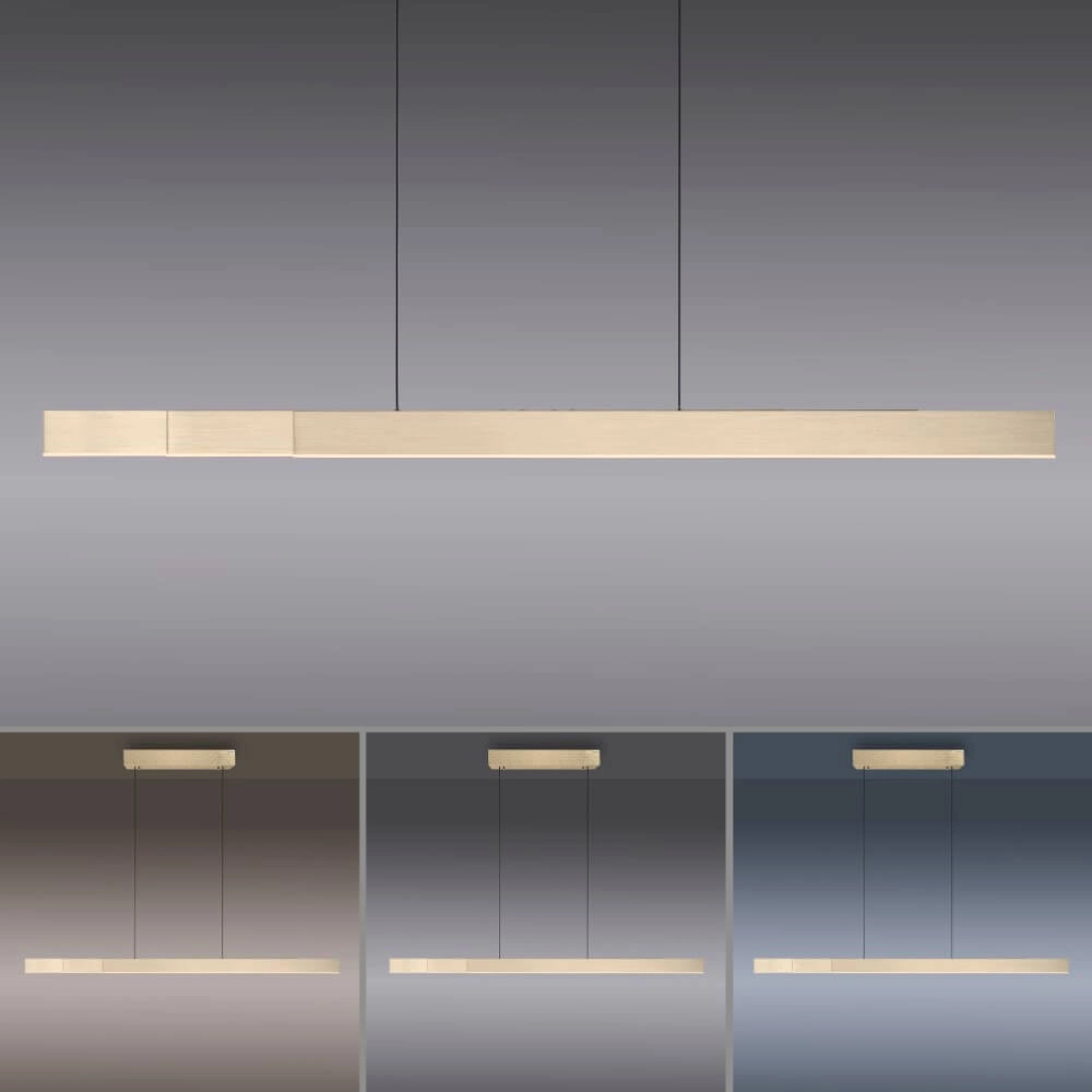 Design hanging lamp Pure Moto-Rise brass Paul Neuhaus 4012248371626