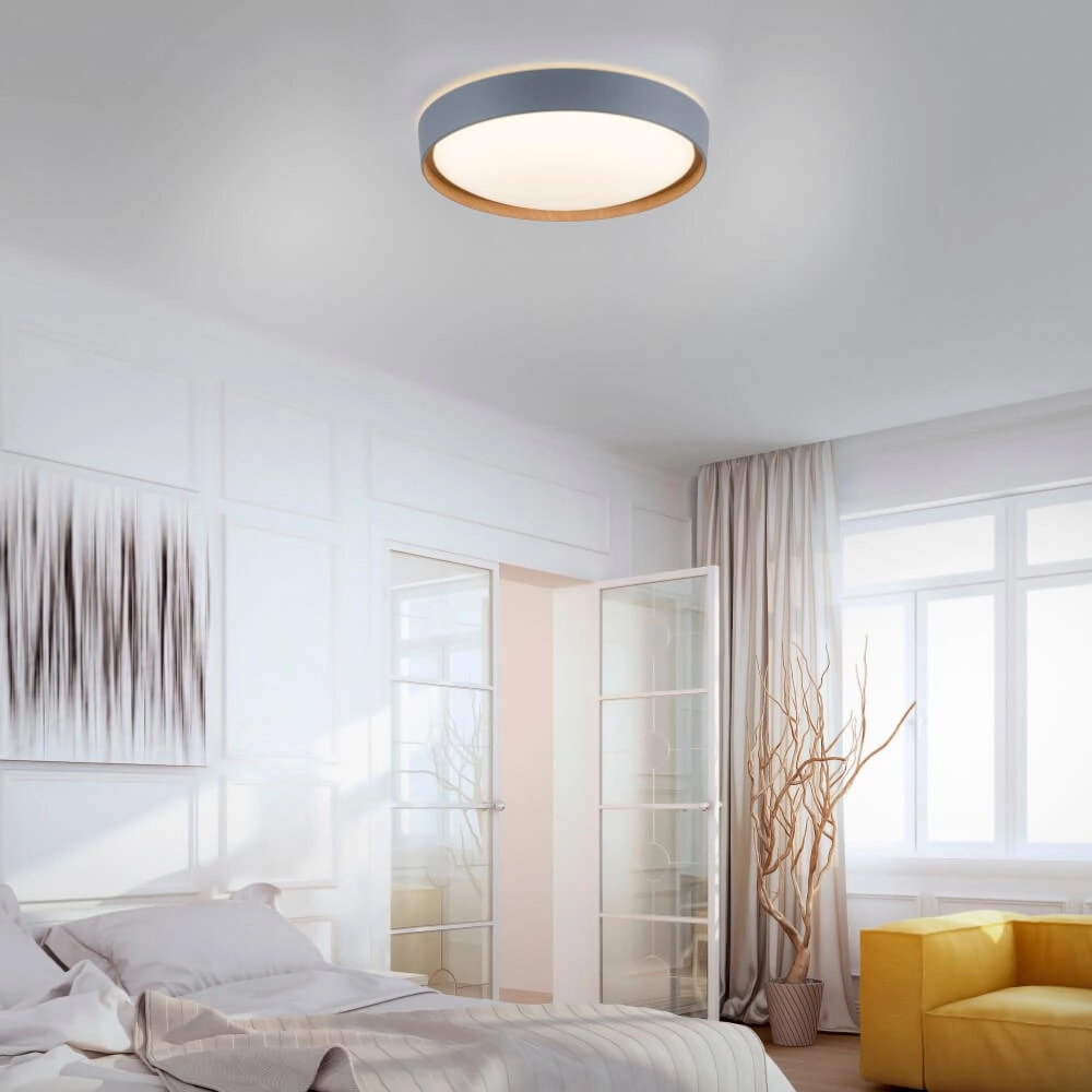 Round ceiling lamp Q-Emilia grey Paul Neuhaus 4012248366530