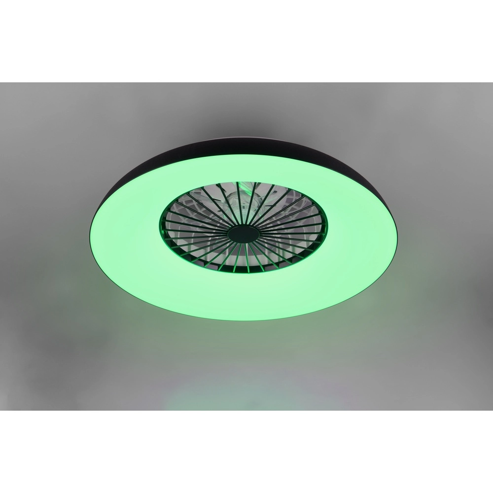 Design fan Svaerholt black Ø 60cm with RGB function Trio 4017807688795