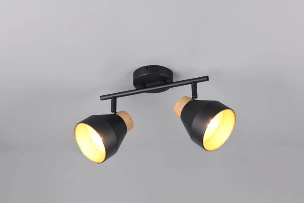 Design ceiling lamp 2-lights Valentin black Trio 4017807637410