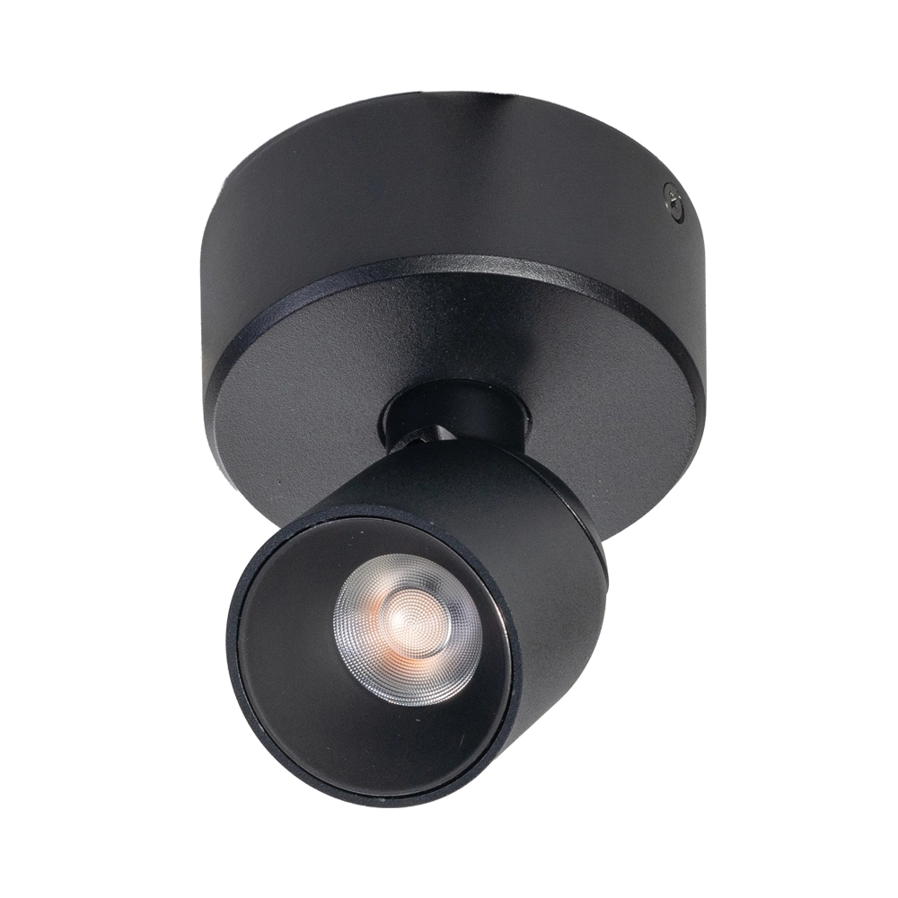 Single surface-mounted spotlight Dennis LED - Black