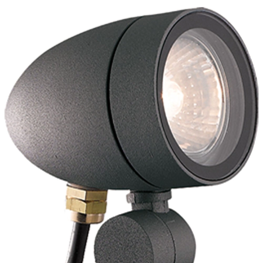 Pathway spotlight Spot Franssen 8435258612378