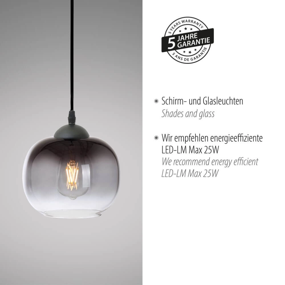 Black pendant lamp Zea ankle Just Light 4043689993740