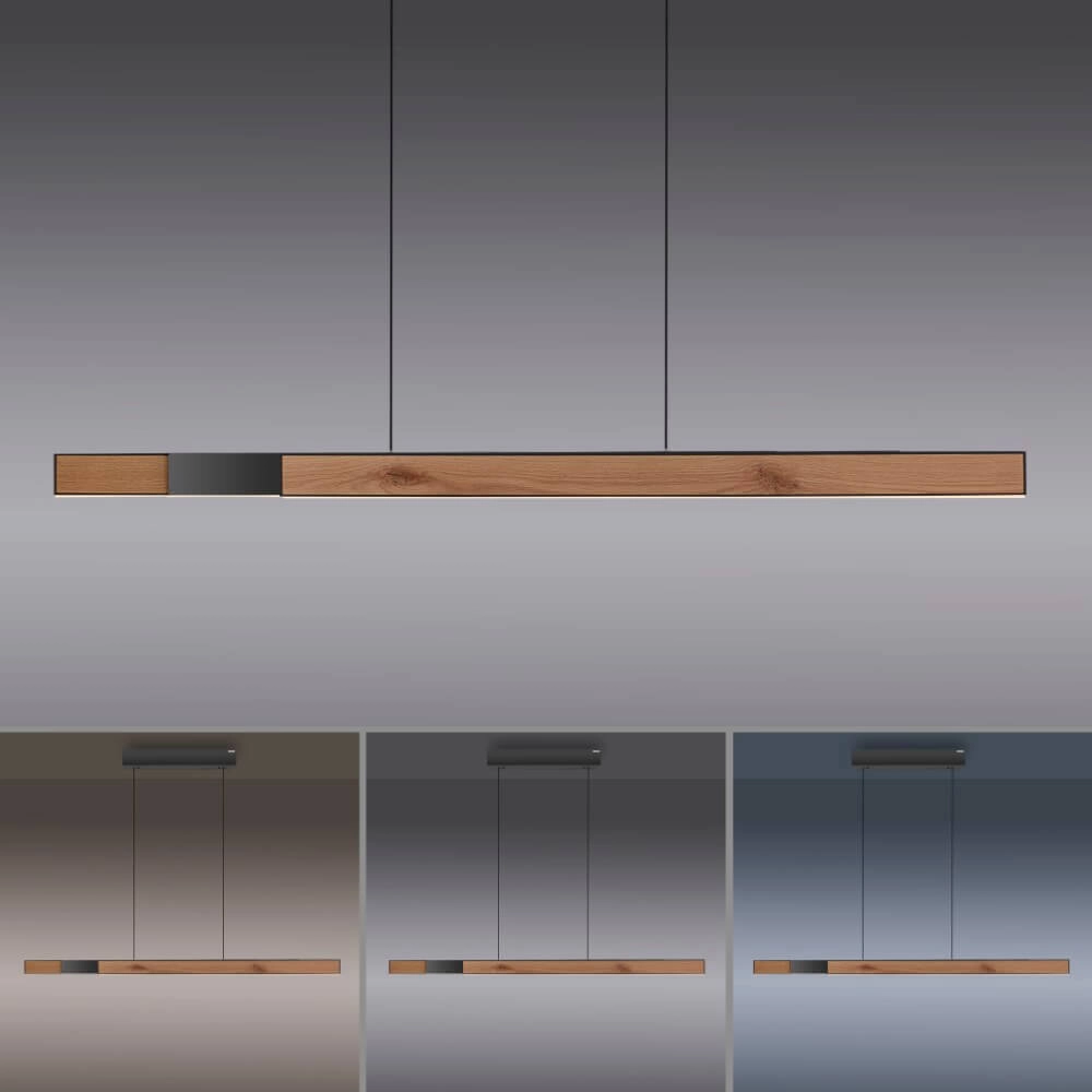Design hanging lamp Pure Moto-Rise wood Paul Neuhaus 4012248374443