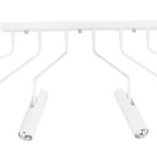 Flexible ceiling lamp Eye Super white Lyora 5903139649292