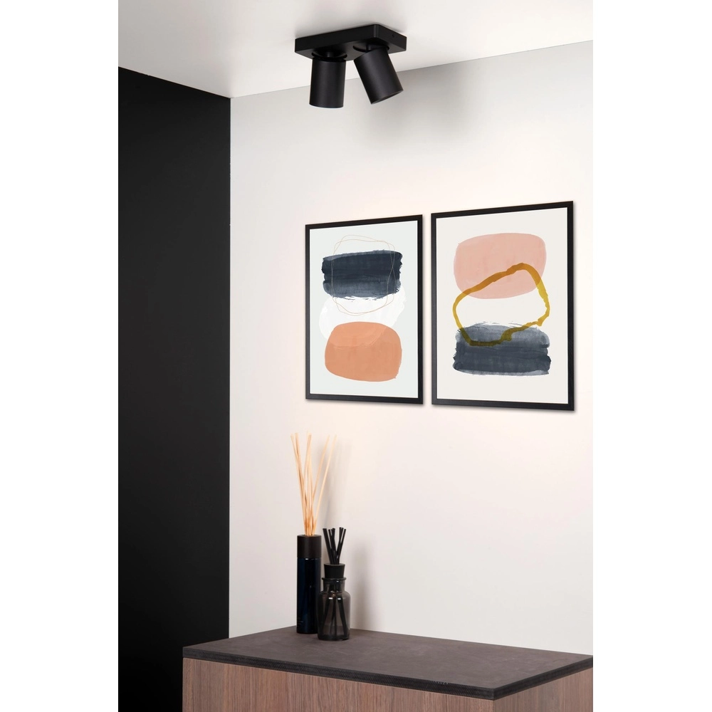 Ceiling spotlight Nigel 2-light black Lucide 5411212092557
