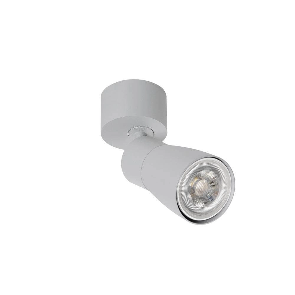 Surface-mounted spot Puri 2.0 Dome Grey single SLV 4024163294317