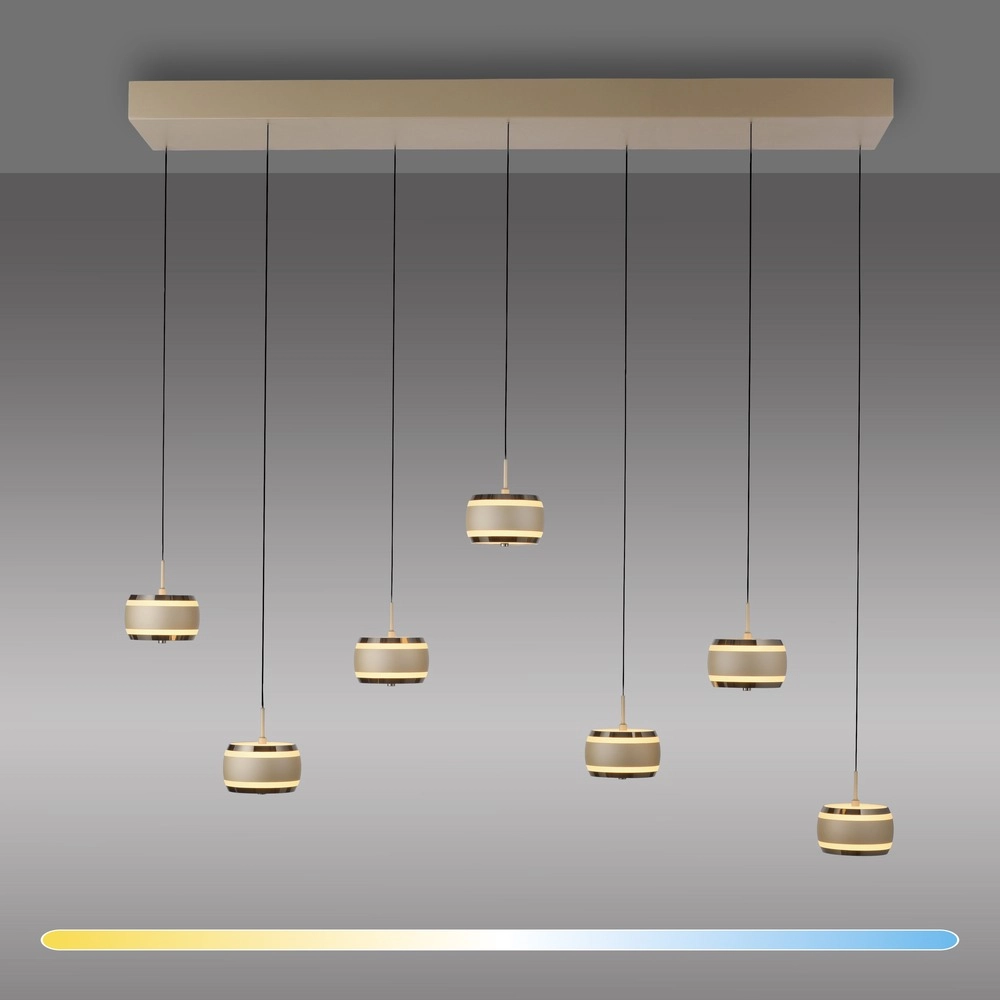 7L dining table pendant lamp Pure Falling Rings Bronce Paul Neuhaus 4012248396605