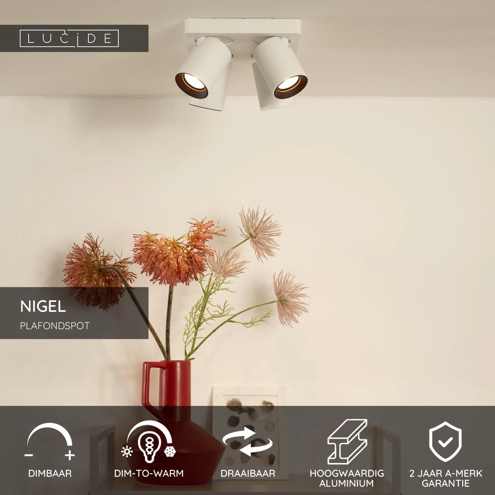 Ceiling spotlight Nigel 4-light white Lucide 5411212092601