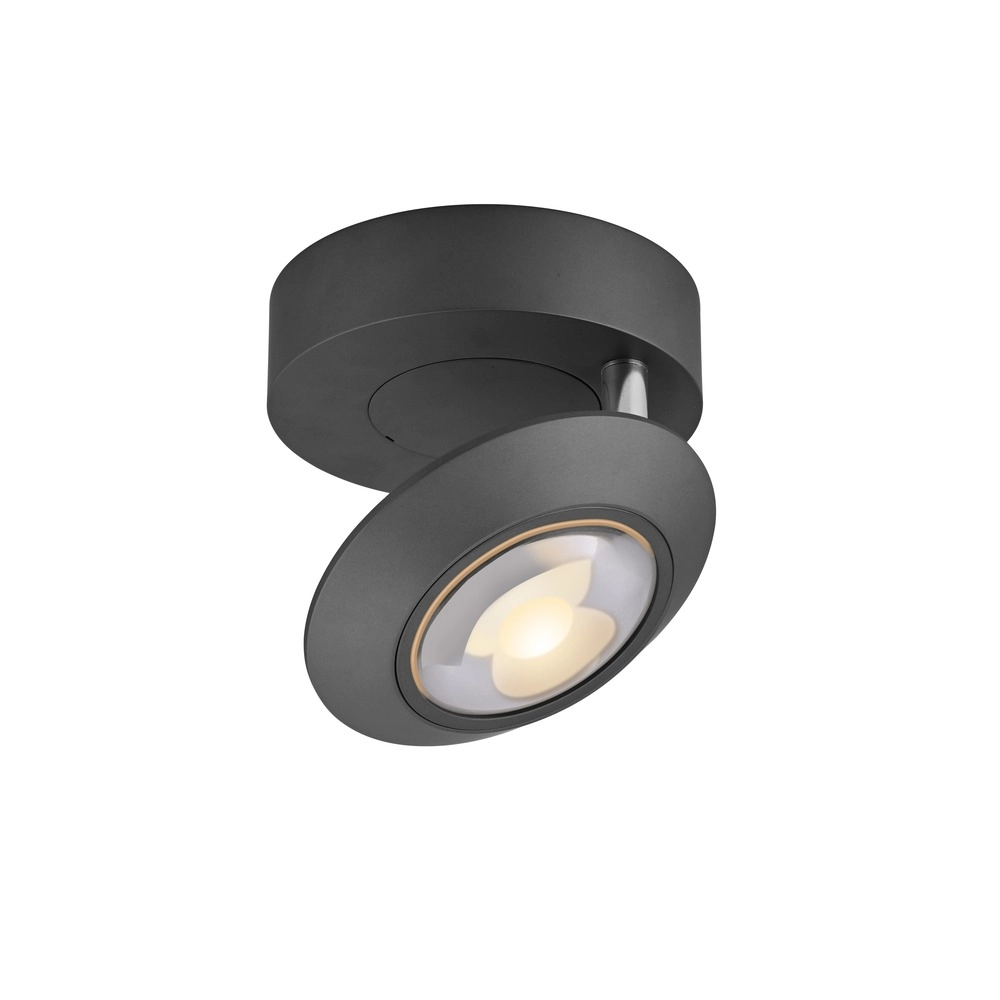 Led ceiling spot Pure Oculis black pearl Paul Neuhaus 4012248397053