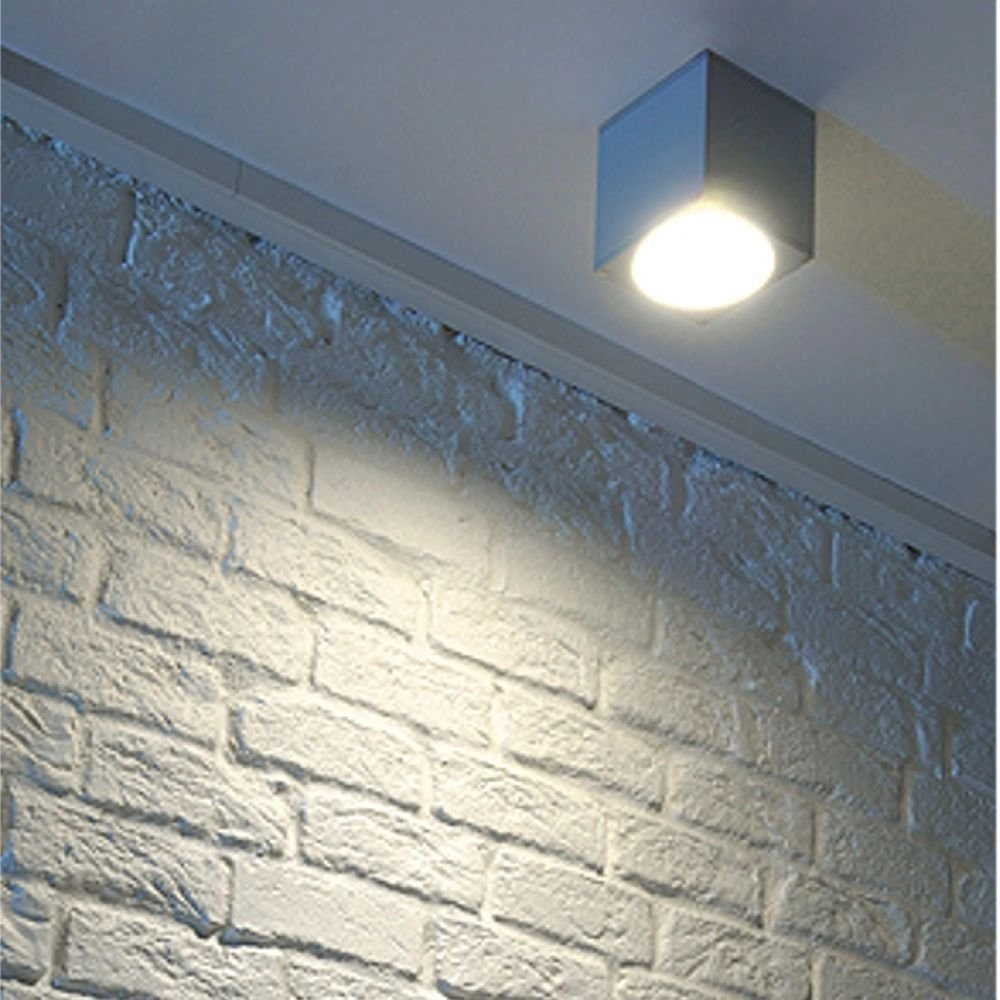 Ceiling and wall spotlight Big Theo Wall Out SLV 4024163100458