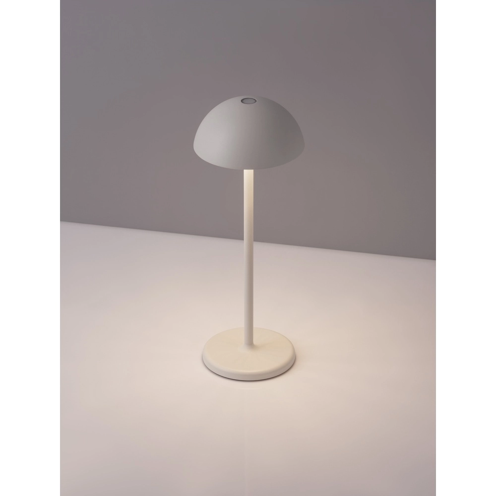 Black table lamp Rose white