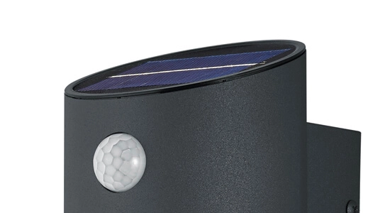 Outdoor lamp Salta with motion sensor Trio 4017807452648