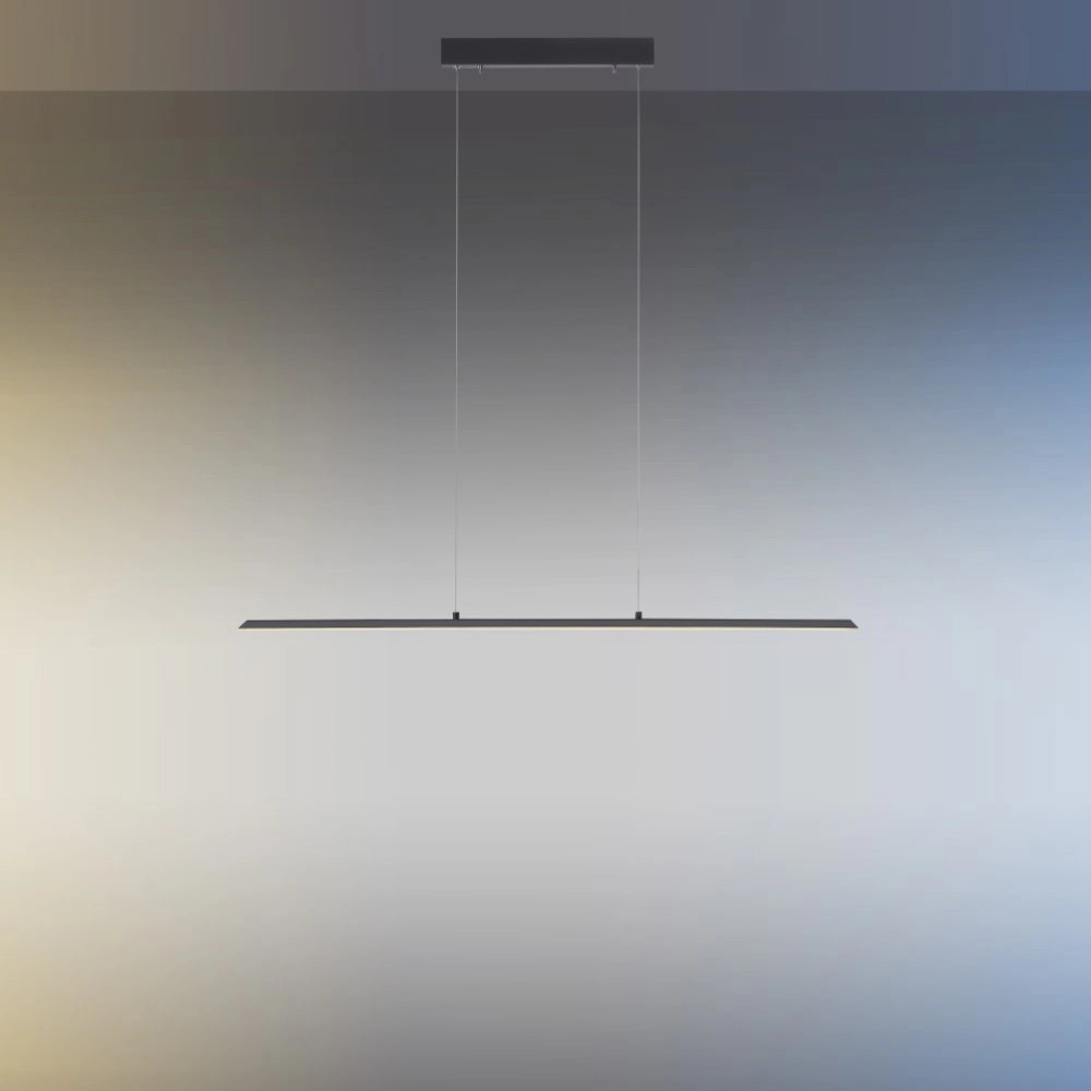 Design hanging lamp Pure Lite 100cm anthracite Paul Neuhaus 4012248344873