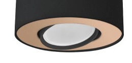 Black surface-mounted spotlight Set with gold Lyora 5903139890199