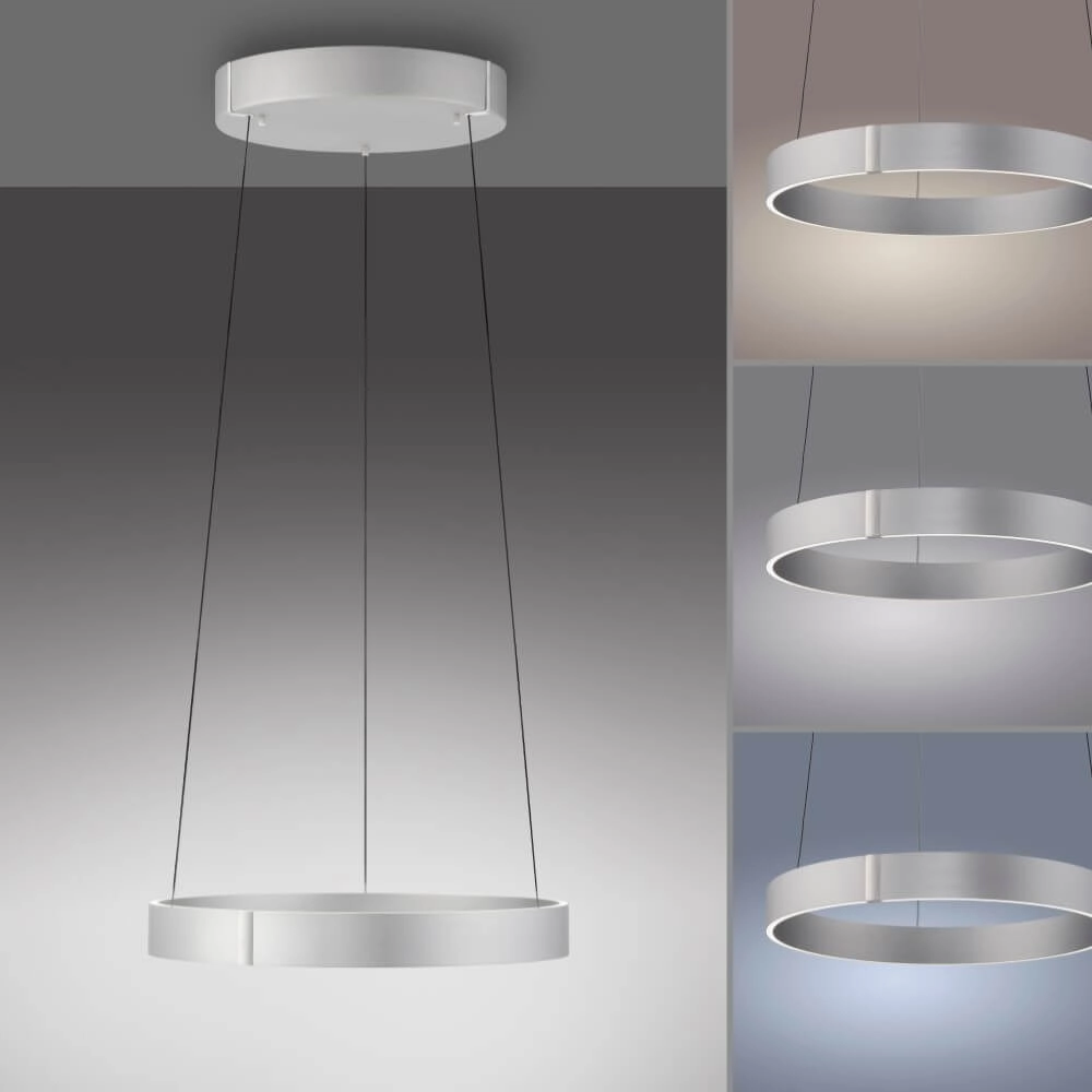 Round hanging lamp Pure E-Clipse aluminum Ø 50cm Paul Neuhaus 4012248372333