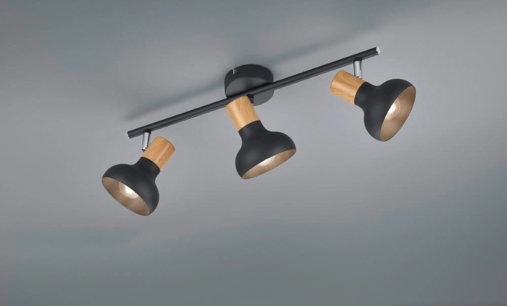 Ceiling light Latika 3-light black Trio 4017807576993