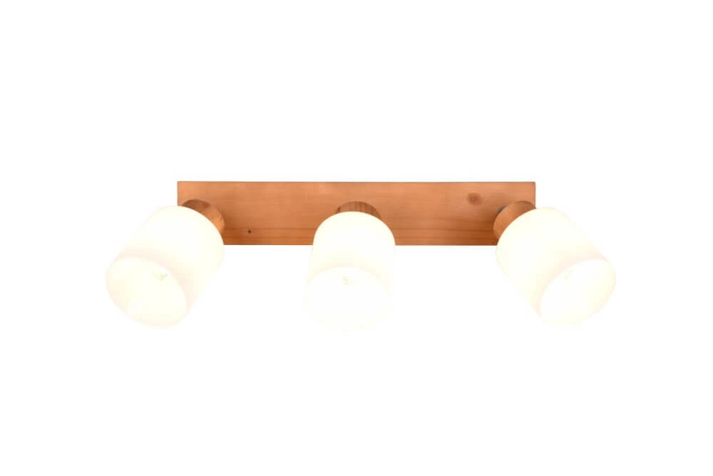 Rural ceiling spotlight Assam 3-light Trio 4017807539813