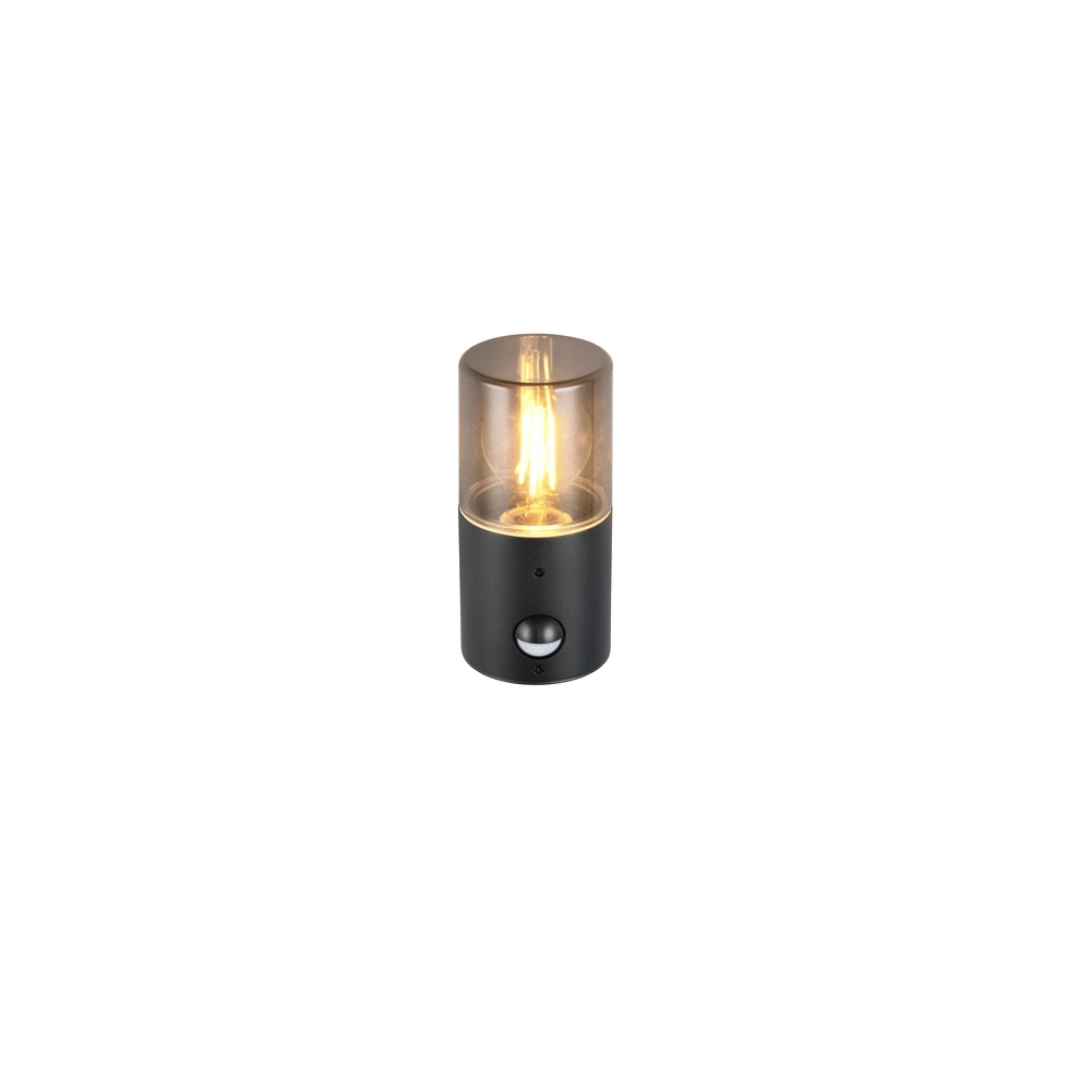 Wall lamp Hoosic only with sensor Trio 4017807603620