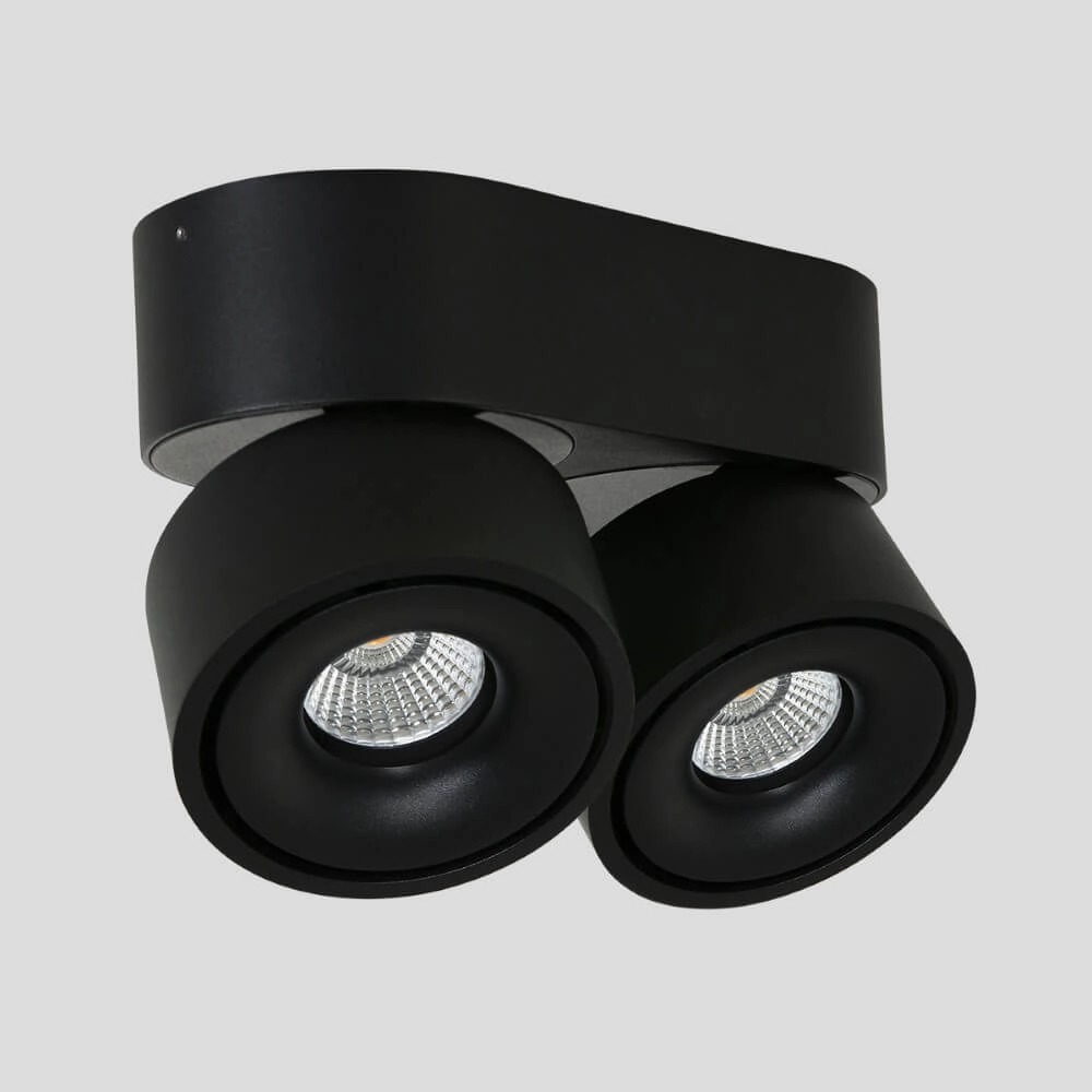 Spot lamp Fez Black 2-light black Steinhauer 8712746132502