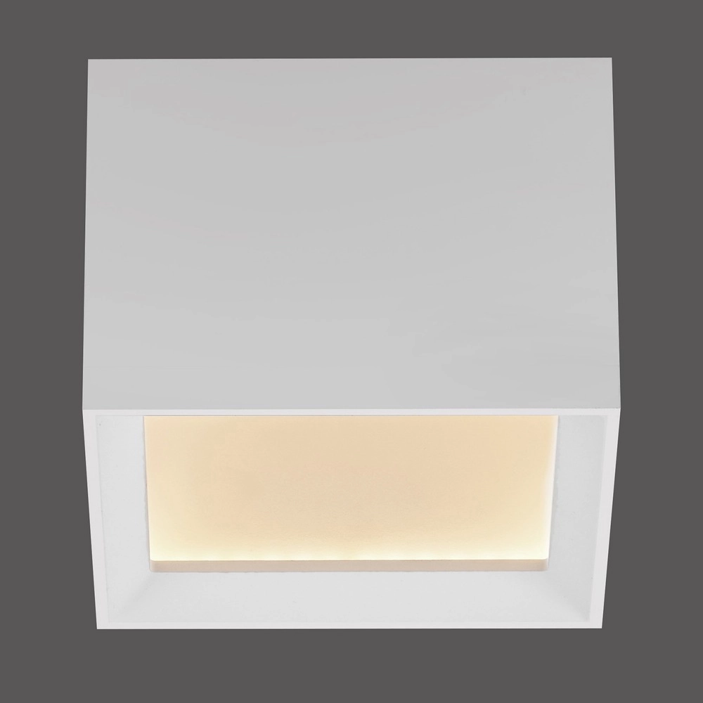 Led surface-mounted spot Pure Manhattan white Paul Neuhaus 4012248396834