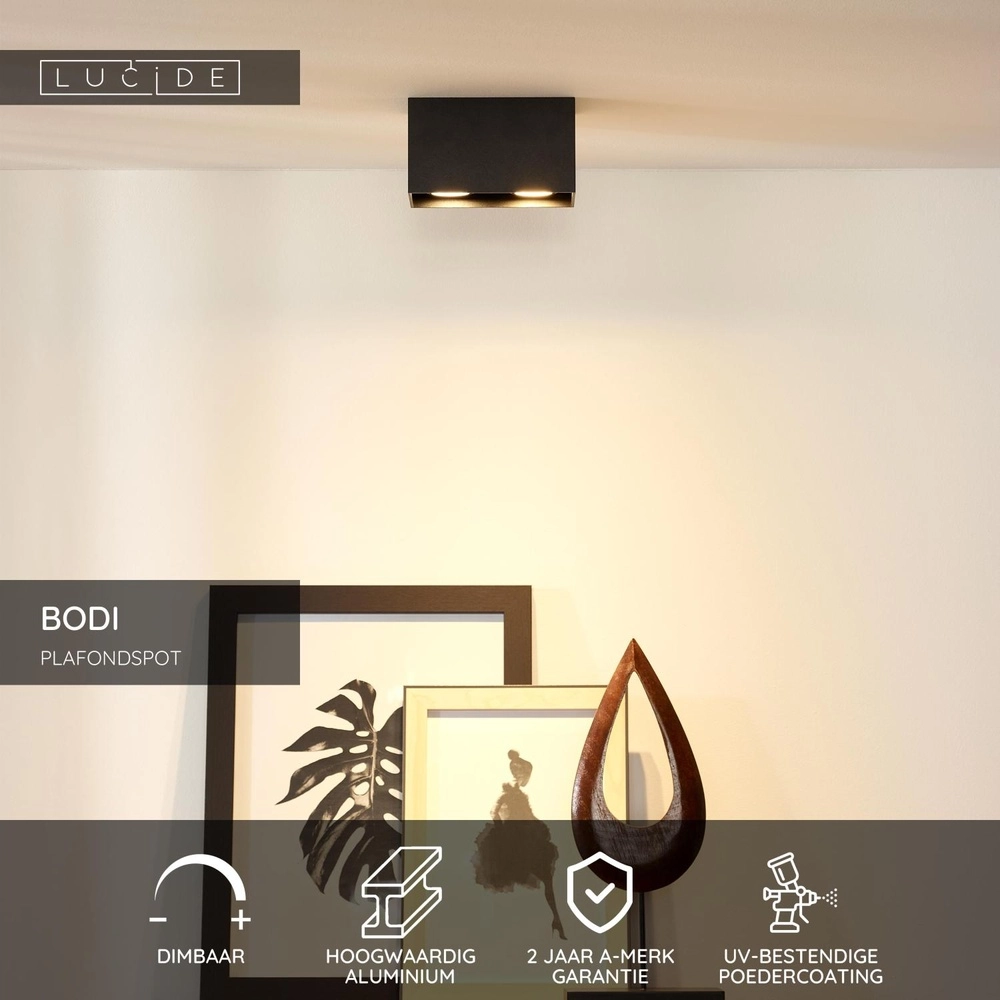 Ceiling spotlight Bodi 2-light black Lucide 5411212091628