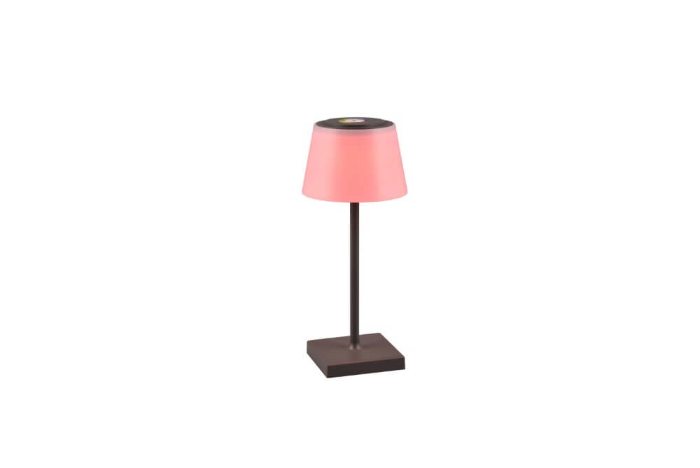 Rechargeable table lamp Sanchez anthracite Trio 4017807570595