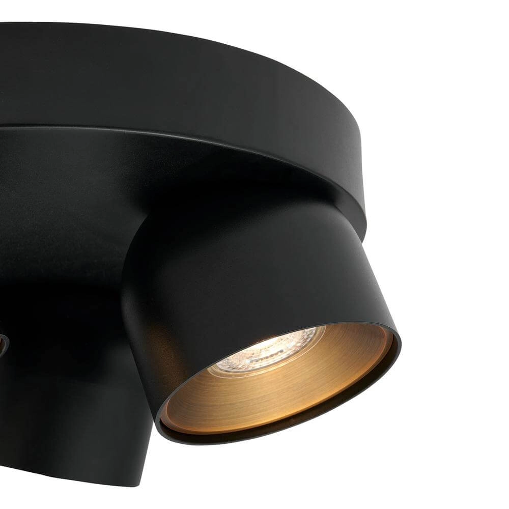Black spot Pitcher 3-light directional Nordlux 5704924016226
