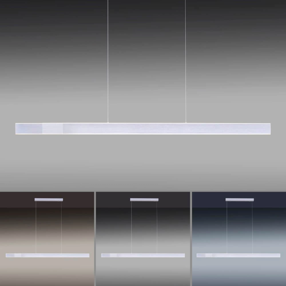 Sleek hanging lamp Pure Lume aluminum Paul Neuhaus 4012248352212