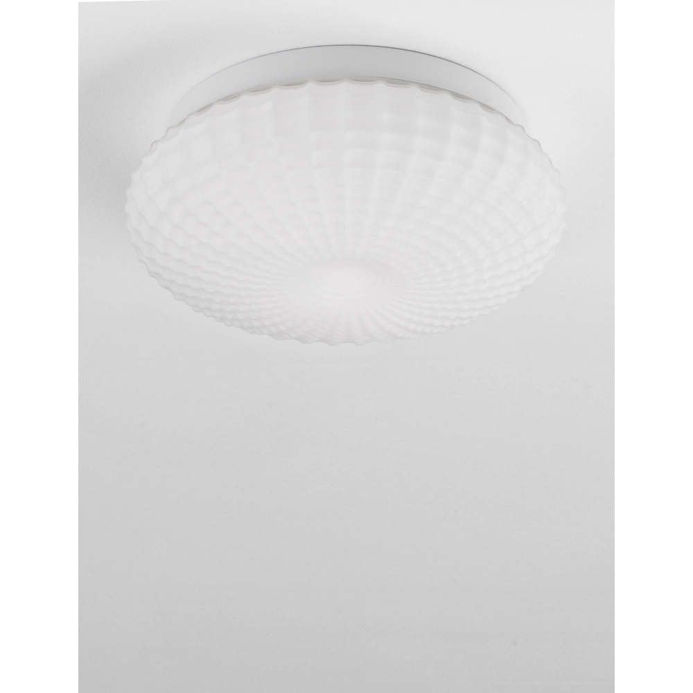 Ceiling lamp Clam white glass Lyora 5212017419460