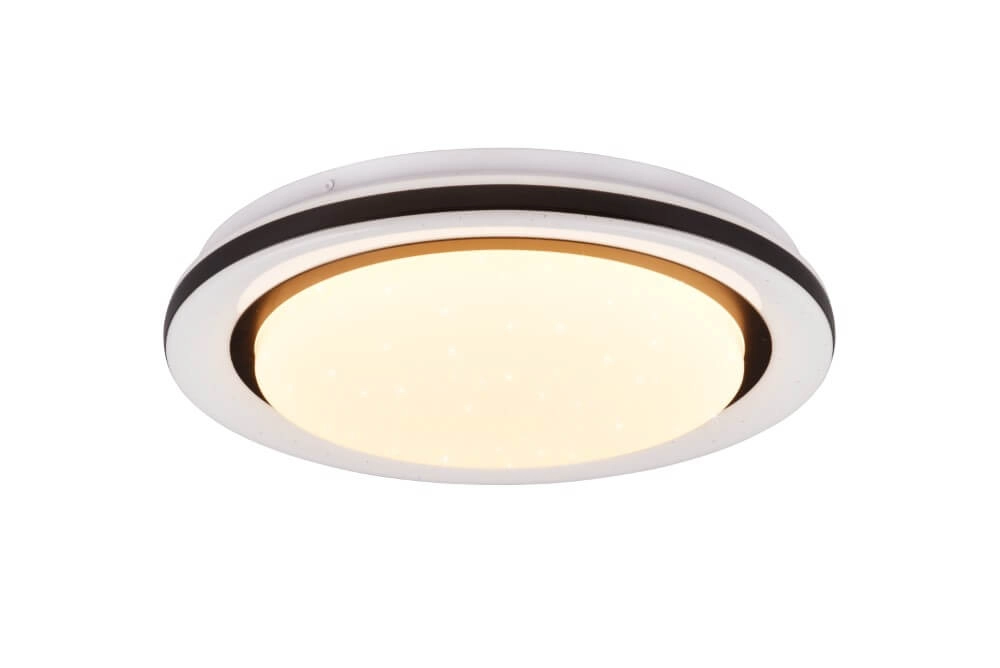 White ceiling lamp Cartida white with black Trio 4017807561722