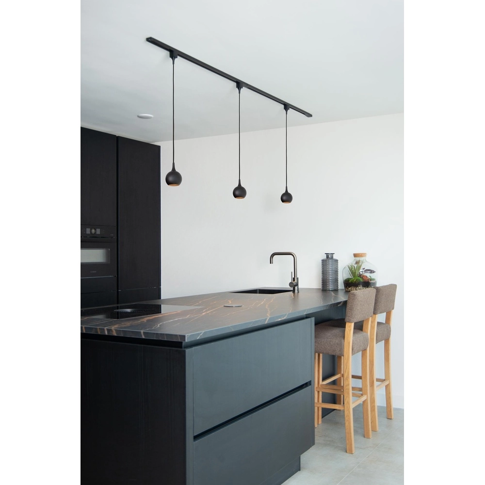 Rail pendant light Track Favori 1-phase black Lucide 5411212093387