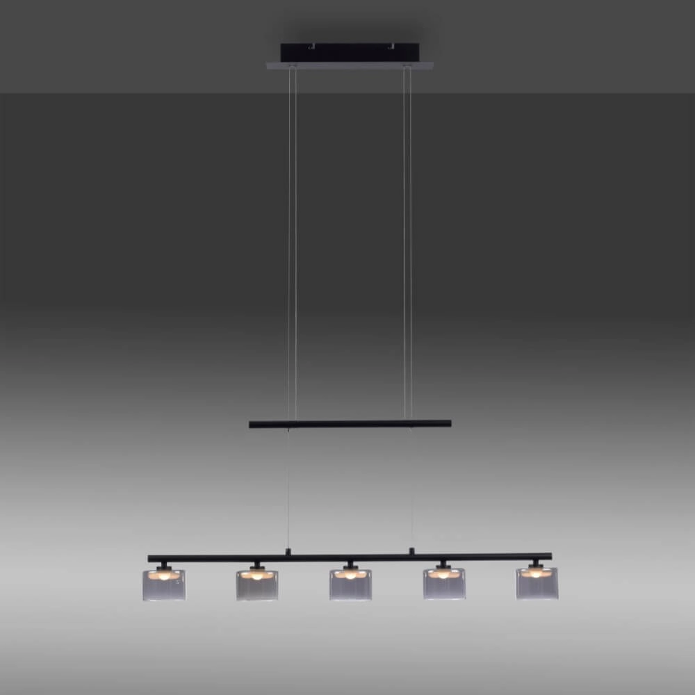 5-light pendant lamp Hydra black Paul Neuhaus 4012248364970