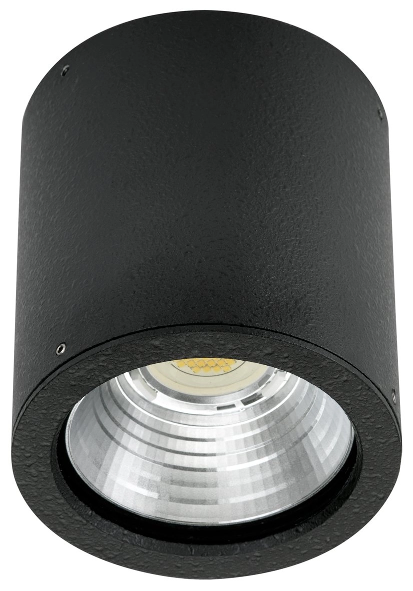 Outdoor ceiling lighting Yori 12W - Black Albert 4007235623802