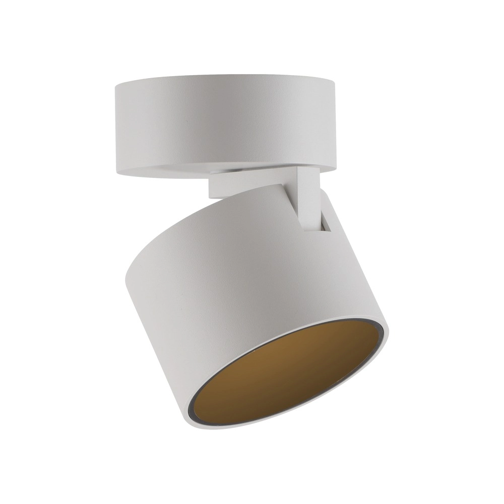 Sleek surface-mounted spot Pure Cup snow white Paul Neuhaus 4012248395578