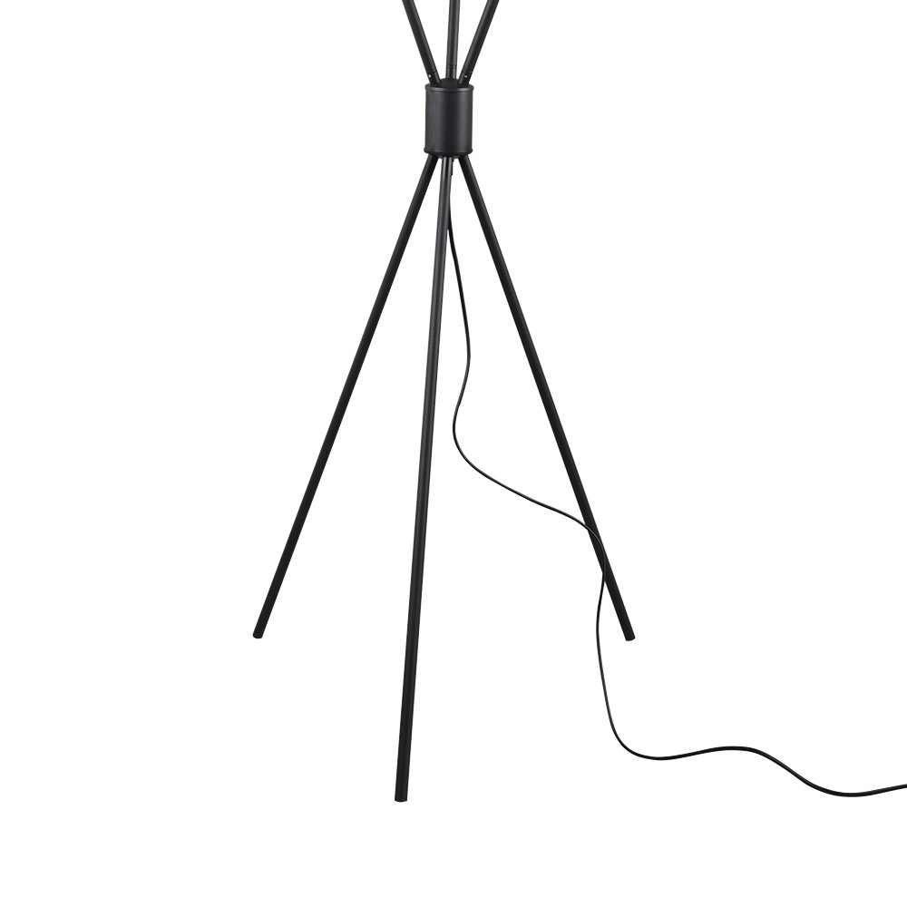 Floor lamp Lance curiosa Trio 4017807422986