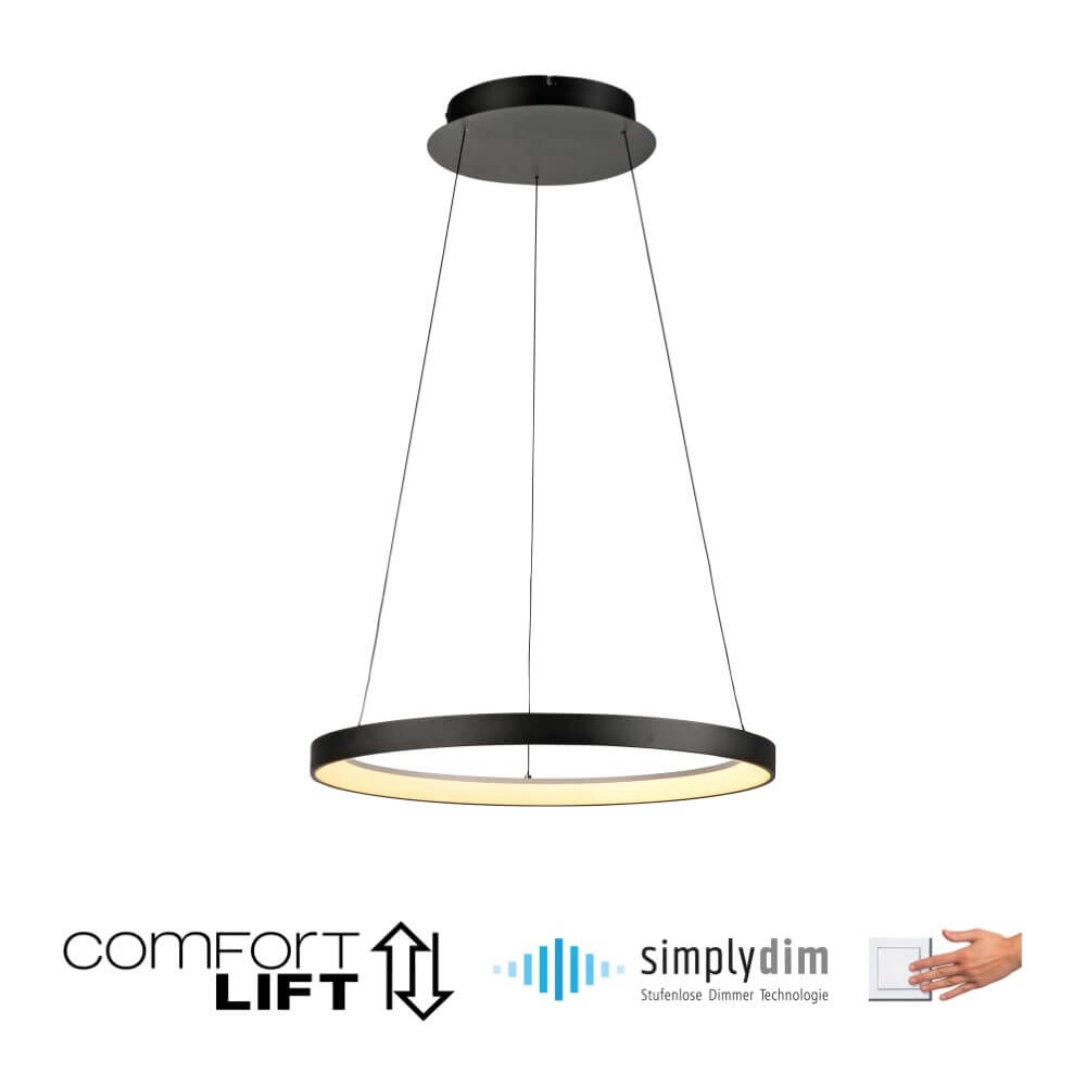 Round pendant lamp Hoop black Paul Neuhaus 4012248384695