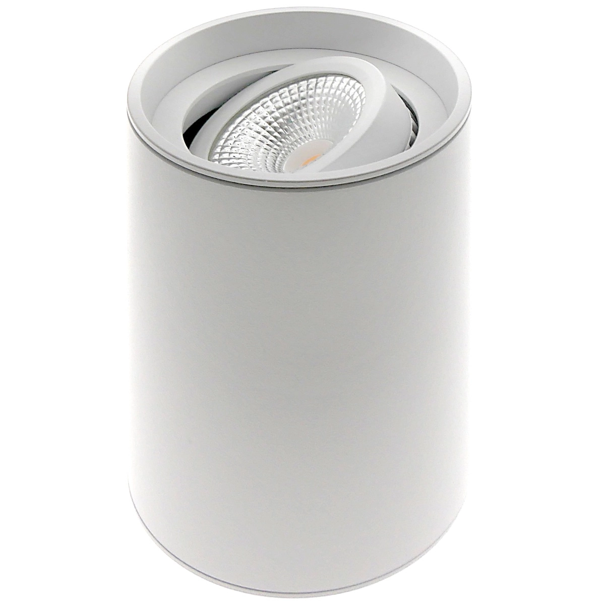 Surface-mounted spot Viggo 1x GU10 - white