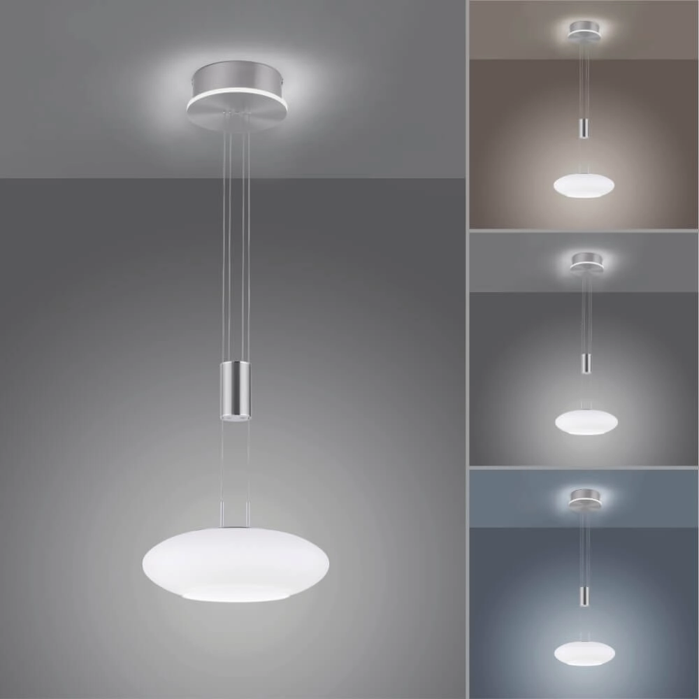 Design pendant lamp Q-Etienne metal Paul Neuhaus 4012248350386