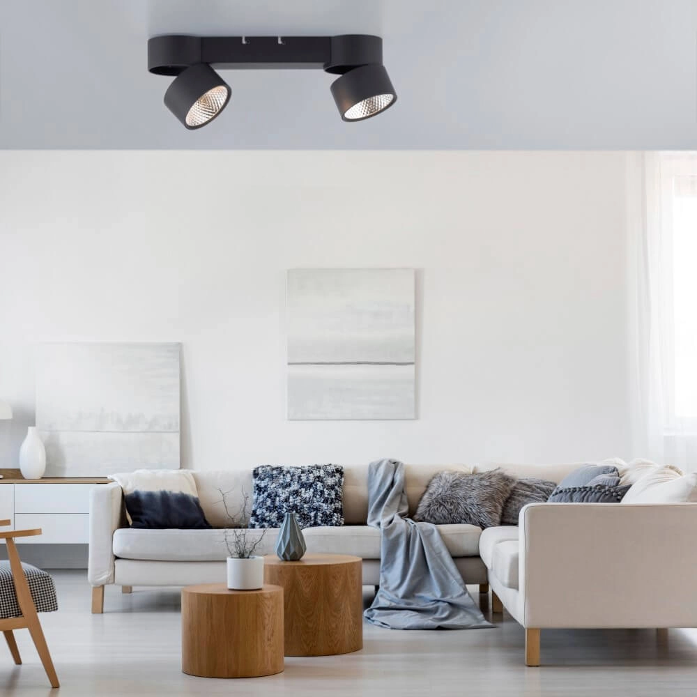 Ceiling lamp Pure Nola 2-light black Paul Neuhaus 4012248372005
