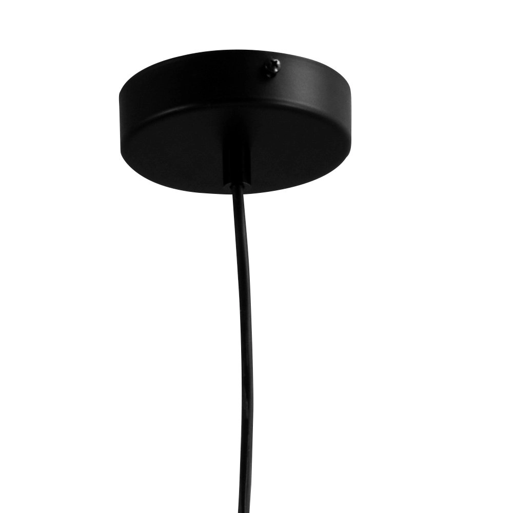 Pendant lamp Concepto 16 Masterlight 8718121238258