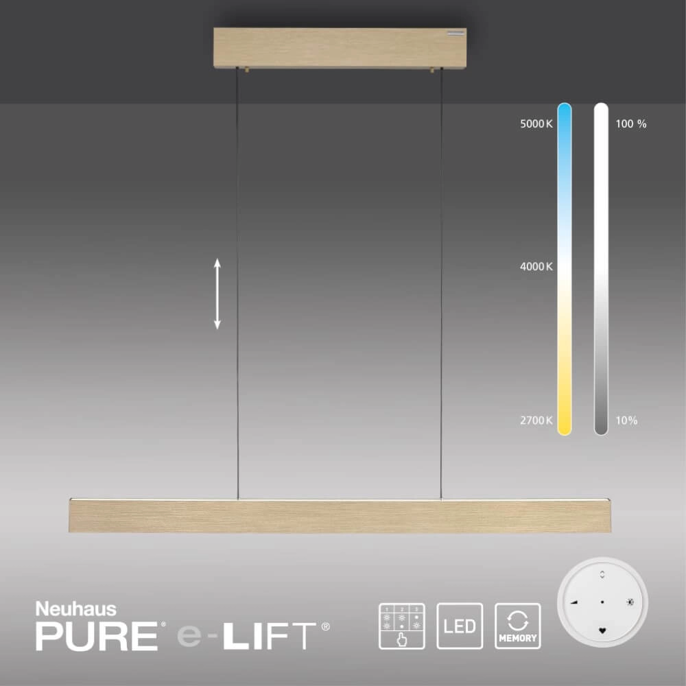 Design hanging lamp Pure E-Motion brass Paul Neuhaus 4012248372913
