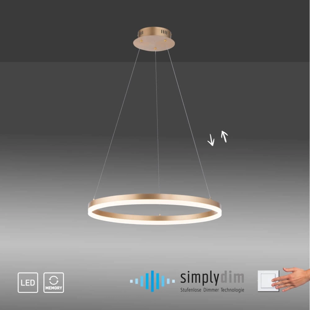 Modern pendant lamp Titus Ø 60cm antique brass Paul Neuhaus 4012248362853