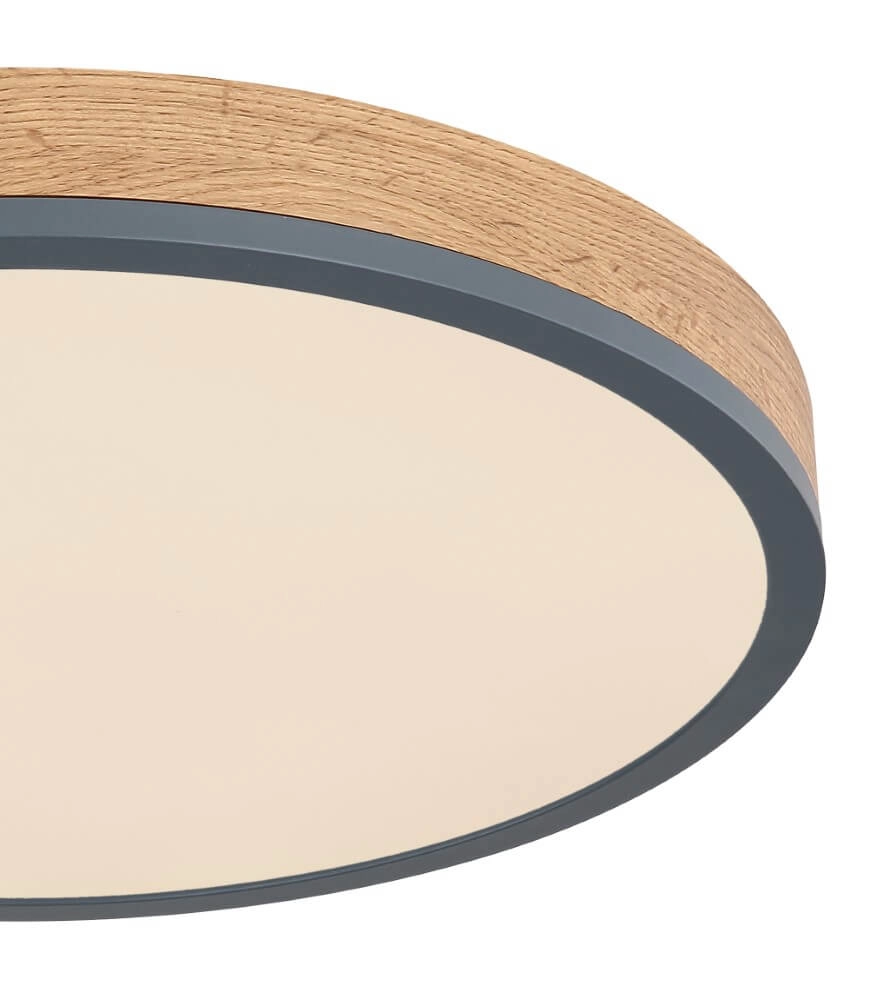 Dimmable led ceiling light Doro Ø 45cm Globo 9007371433568
