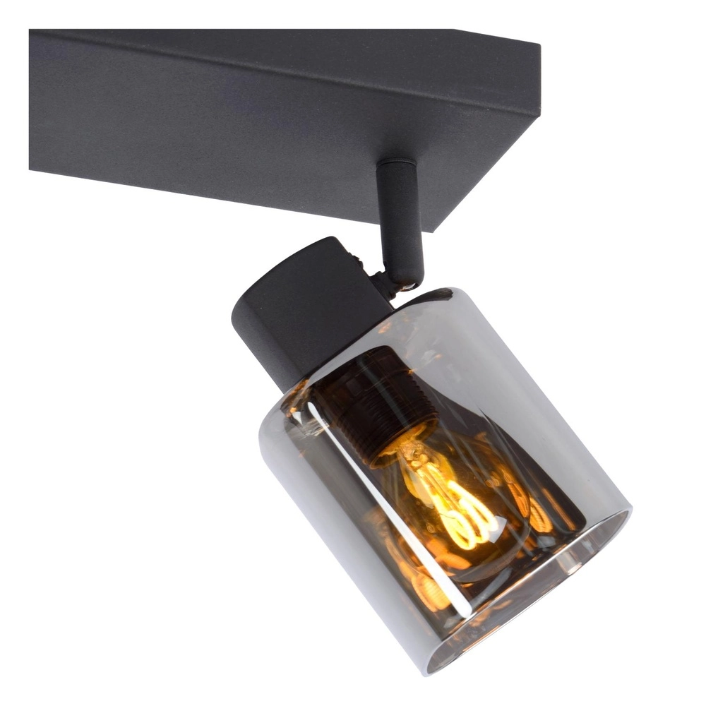 Ceiling lamp Alion 2-light black with smoke glass Lucide 5411212176998