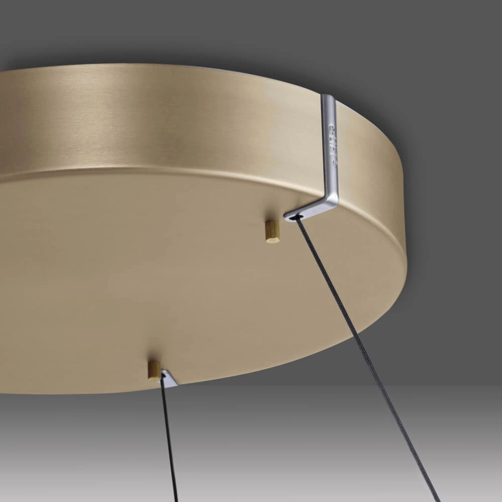 Sleek hanging lamp Pure E-Loop brass Ø 70cm Paul Neuhaus 4012248372296