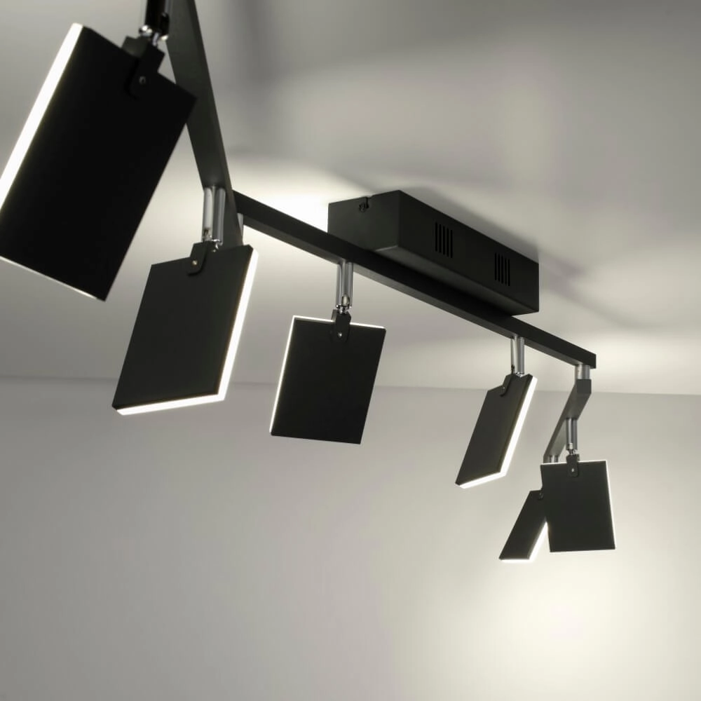 Ceiling lamp Pure Mira 6-light black Paul Neuhaus 4012248359464